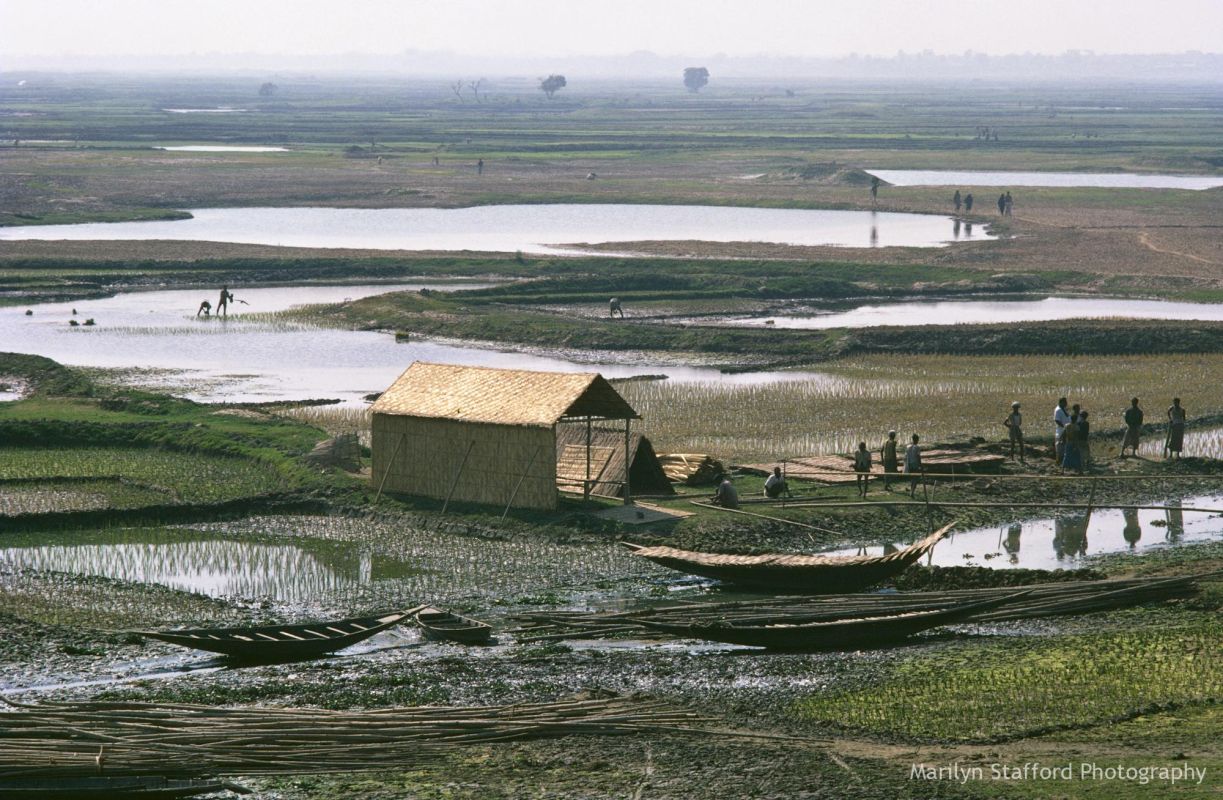Waterways, Bangladesh, 1972.