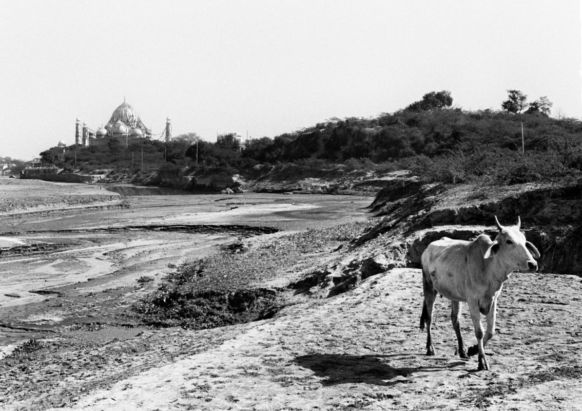 The Taj Mahal, Agra, 1971. Camouflaged with jute netting and branches for protection from hostile attacks by Pakistan airplanes during the Indo-Pakistani War.