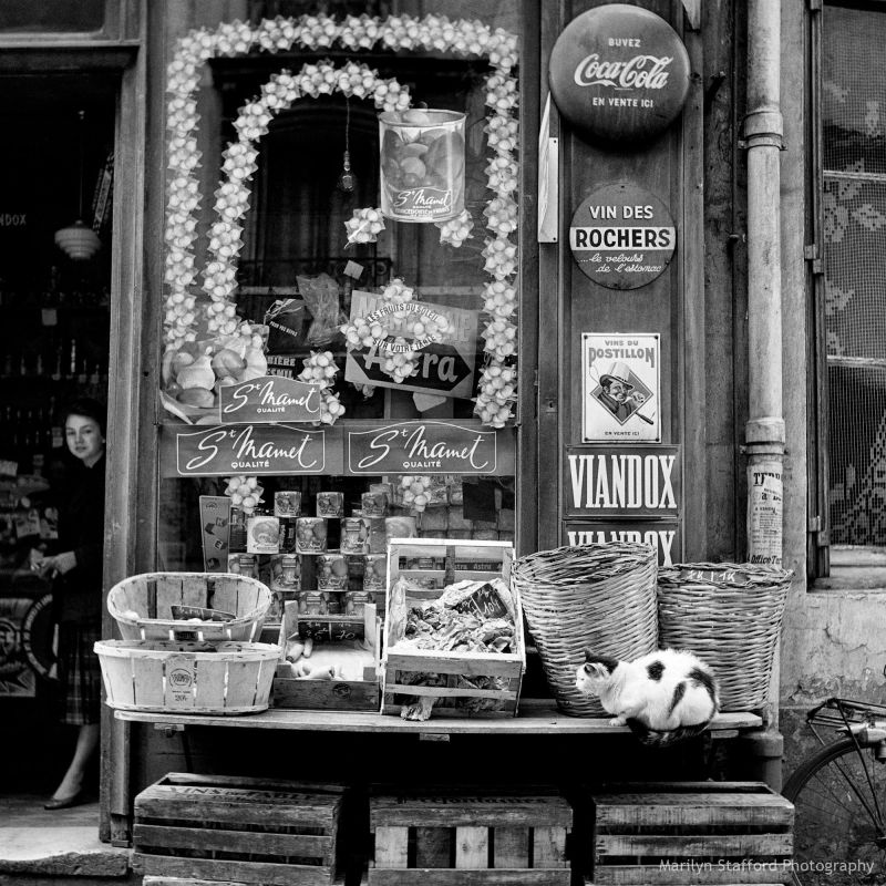 Shop display with cat, Paris, c1950.